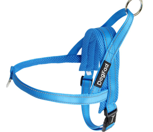 Pet Dog Harness with Leash for Walking