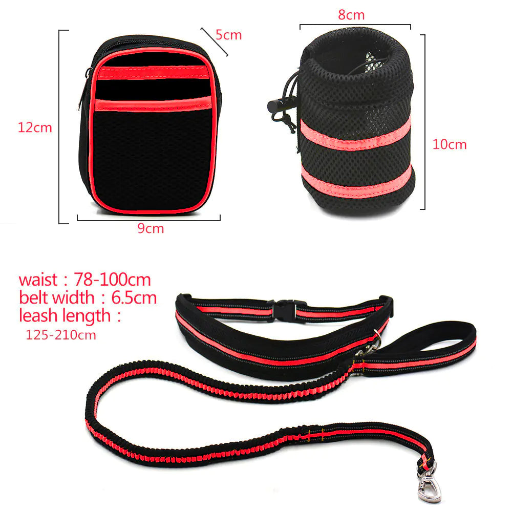 Reflective Elastic Dog Leash Set with Treat Bag
