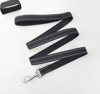 Pet Dog Harness with Leash for Walking