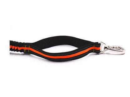 Reflective Elastic Dog Leash Set with Treat Bag