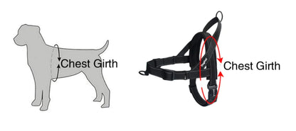 Pet Dog Harness with Leash for Walking