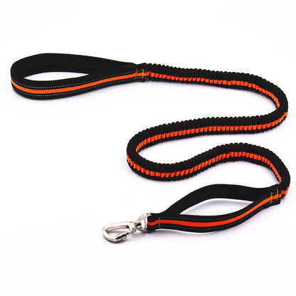Reflective Elastic Dog Leash Set with Treat Bag