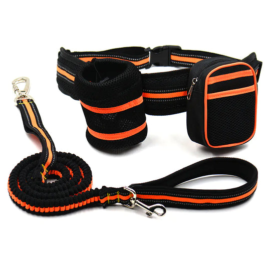Reflective Elastic Dog Leash Set with Treat Bag